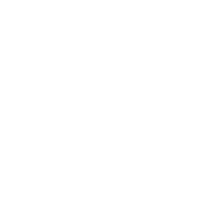 Evolution Gaming Logo