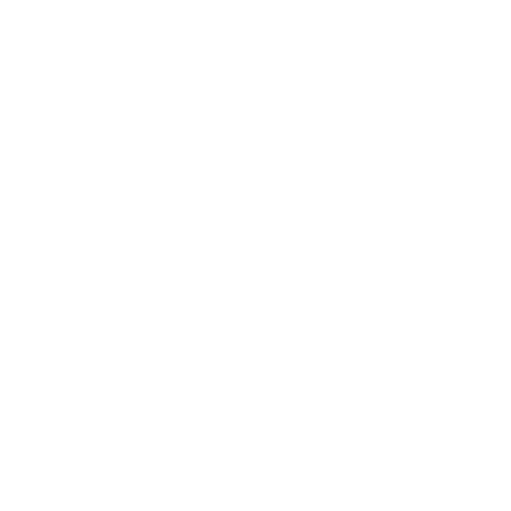 Iron Dog Logo